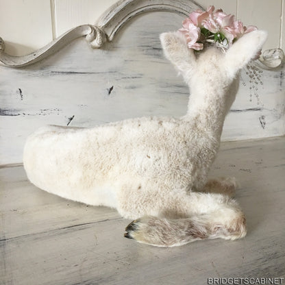 1940s Taxidermy Lamb