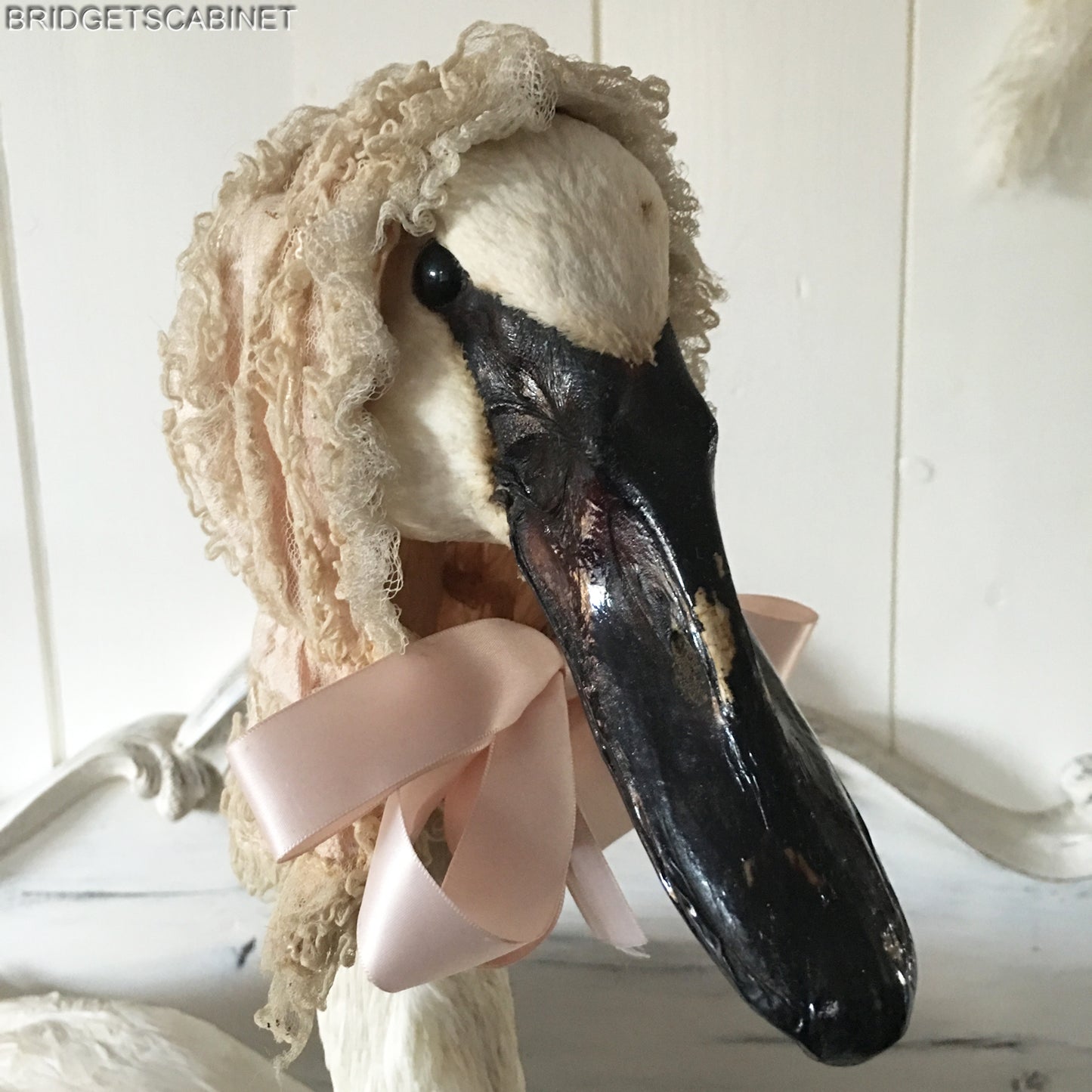 1930s Taxidermy White Swan