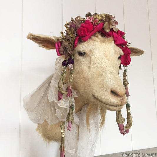 1930s Taxidermy Goat Bust