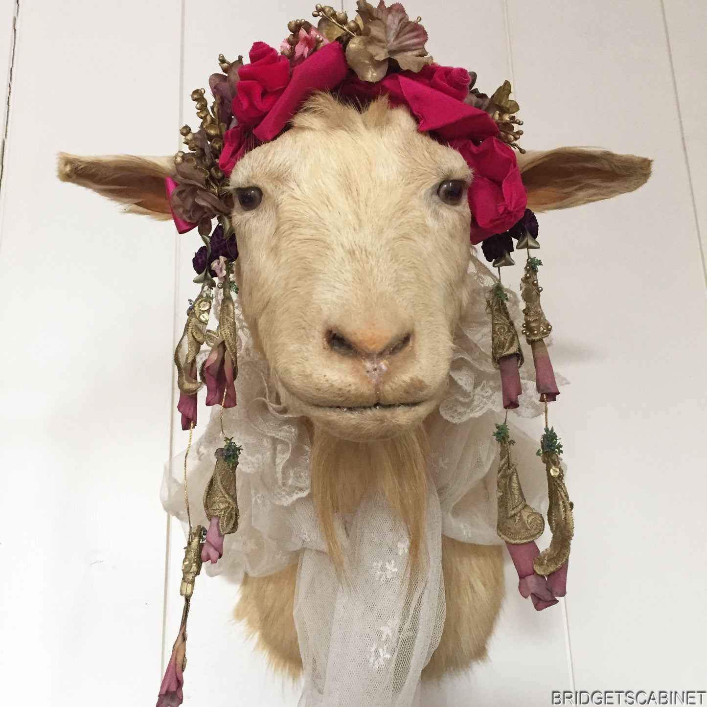 1930s Taxidermy Goat Bust