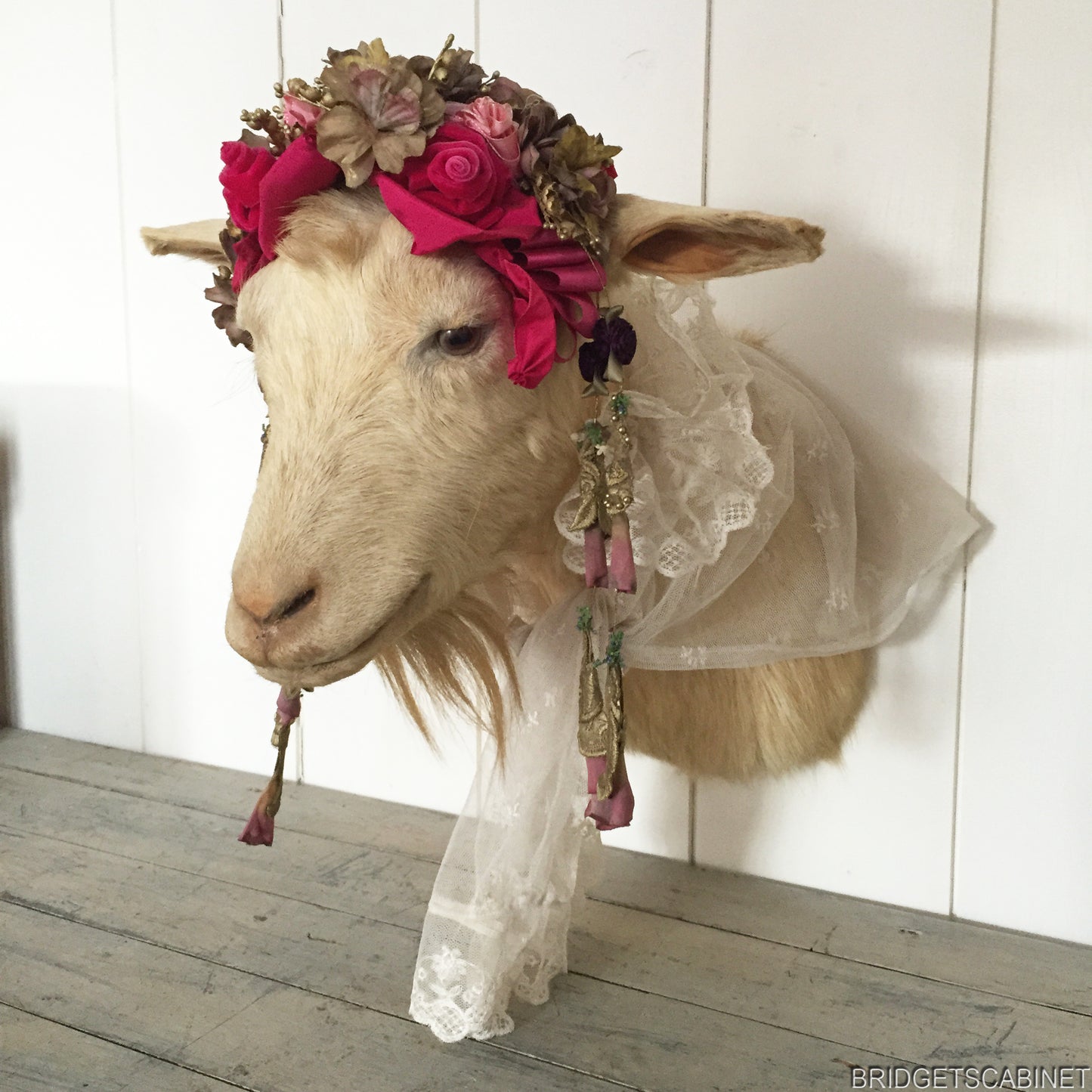 1930s Taxidermy Goat Bust