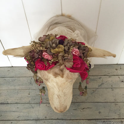 1930s Taxidermy Goat Bust
