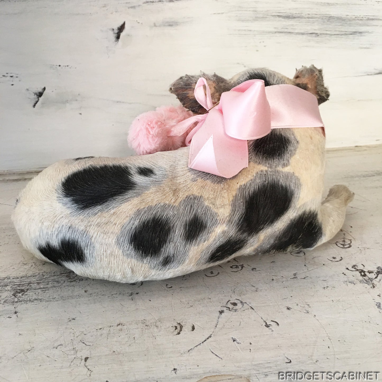 Taxidermy Piglet