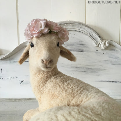 French Taxidermy Lamb