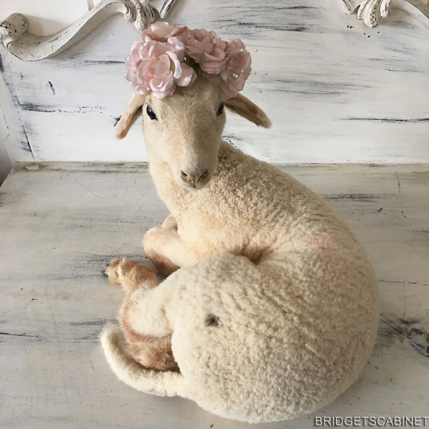 French Taxidermy Lamb