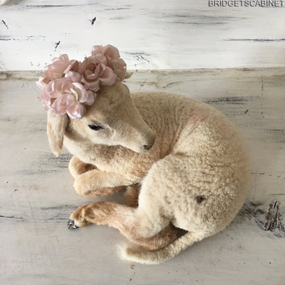 French Taxidermy Lamb