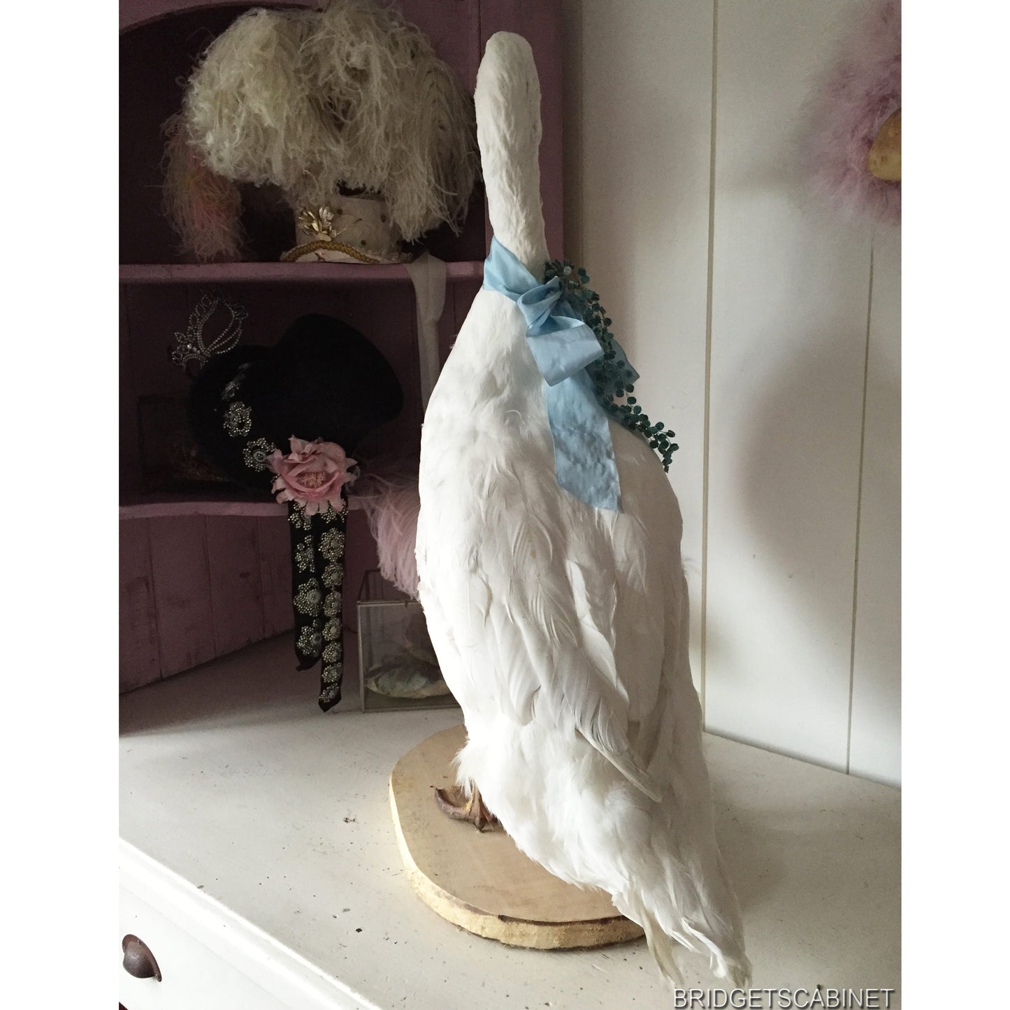 Vintage Taxidermy Goose