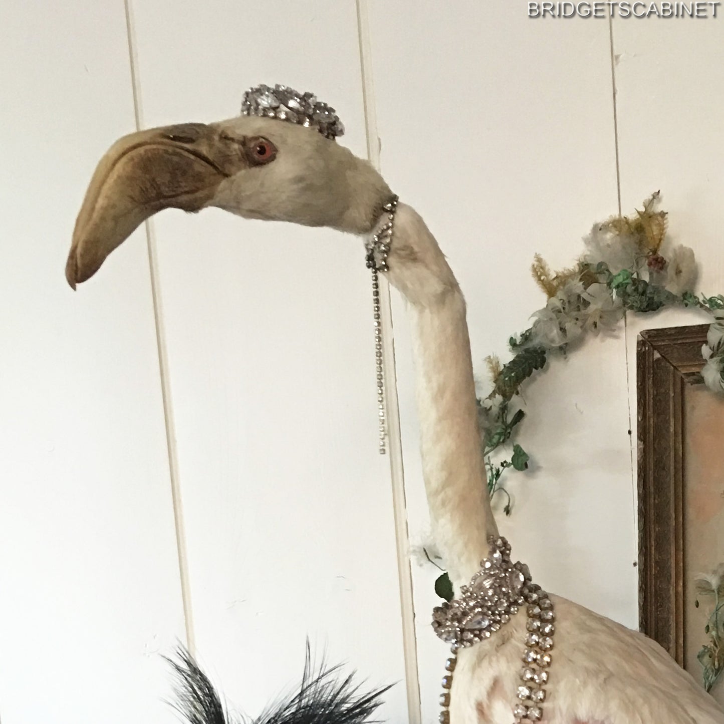 1930s Taxidermy Flamingo Mounted
