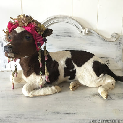 1930 Taxidermy Calf