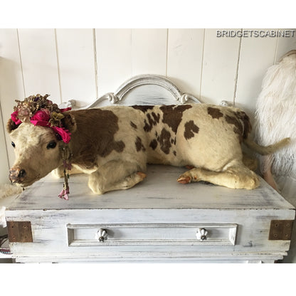 1930s Taxidermy Butcher Window Calf Display