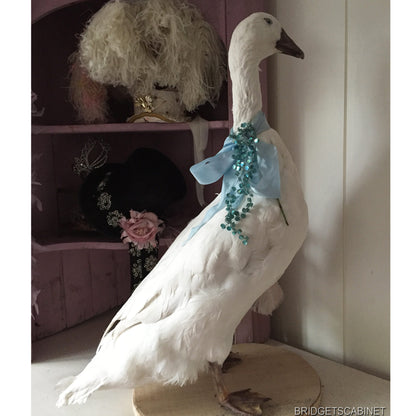 Vintage Taxidermy Goose