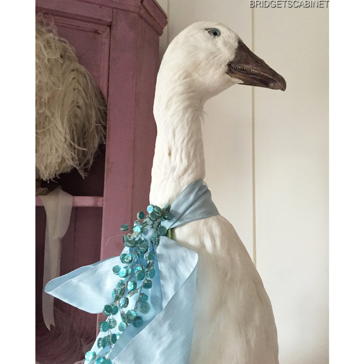 Vintage Taxidermy Goose
