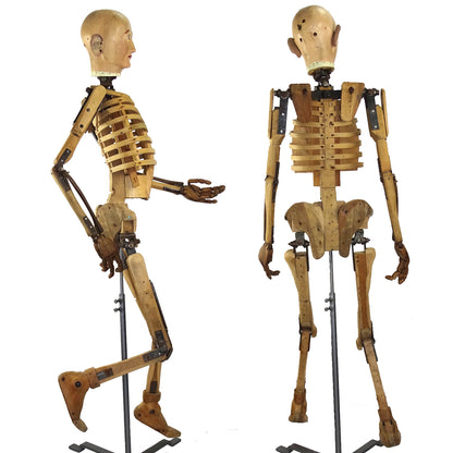 19th Century Artist Lay Figure Skeleton