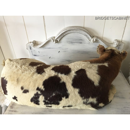 1930s Taxidermy Butcher Window Calf Display