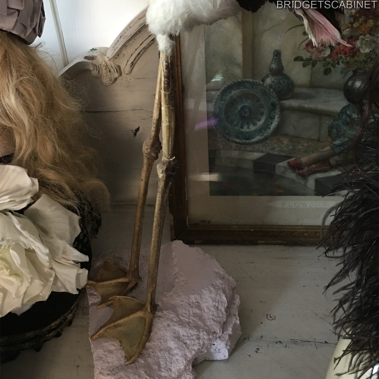 1930s Taxidermy Flamingo Mounted