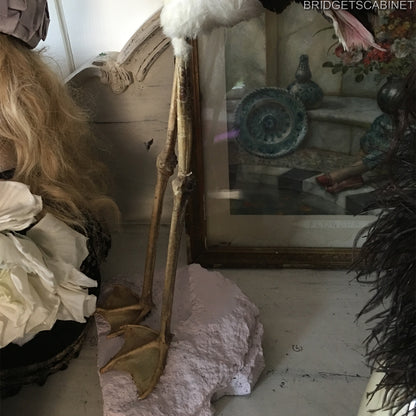 1930s Taxidermy Flamingo Mounted