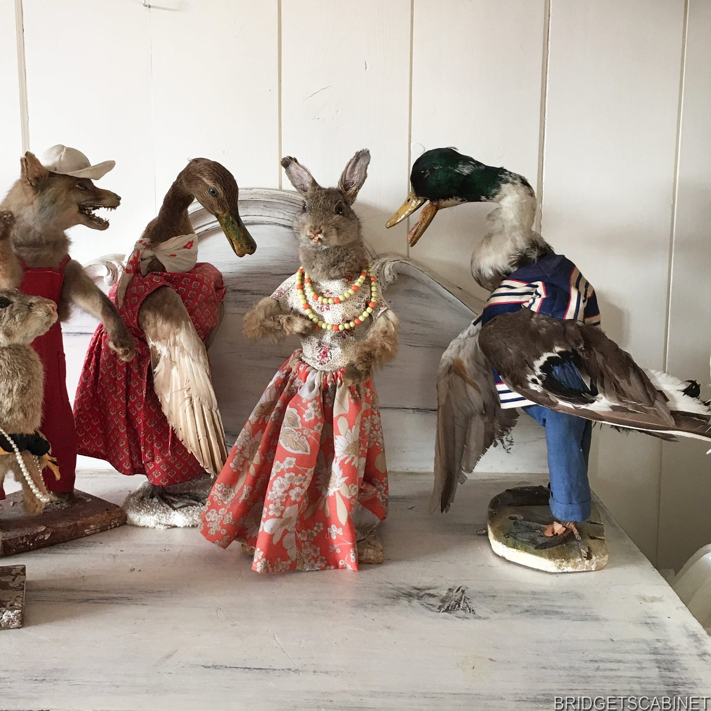 Scene of 5 1930s Taxidermy Animals