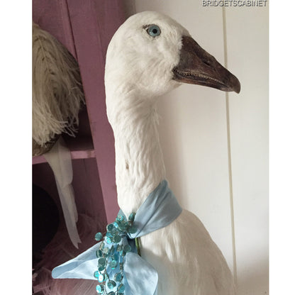 Vintage Taxidermy Goose