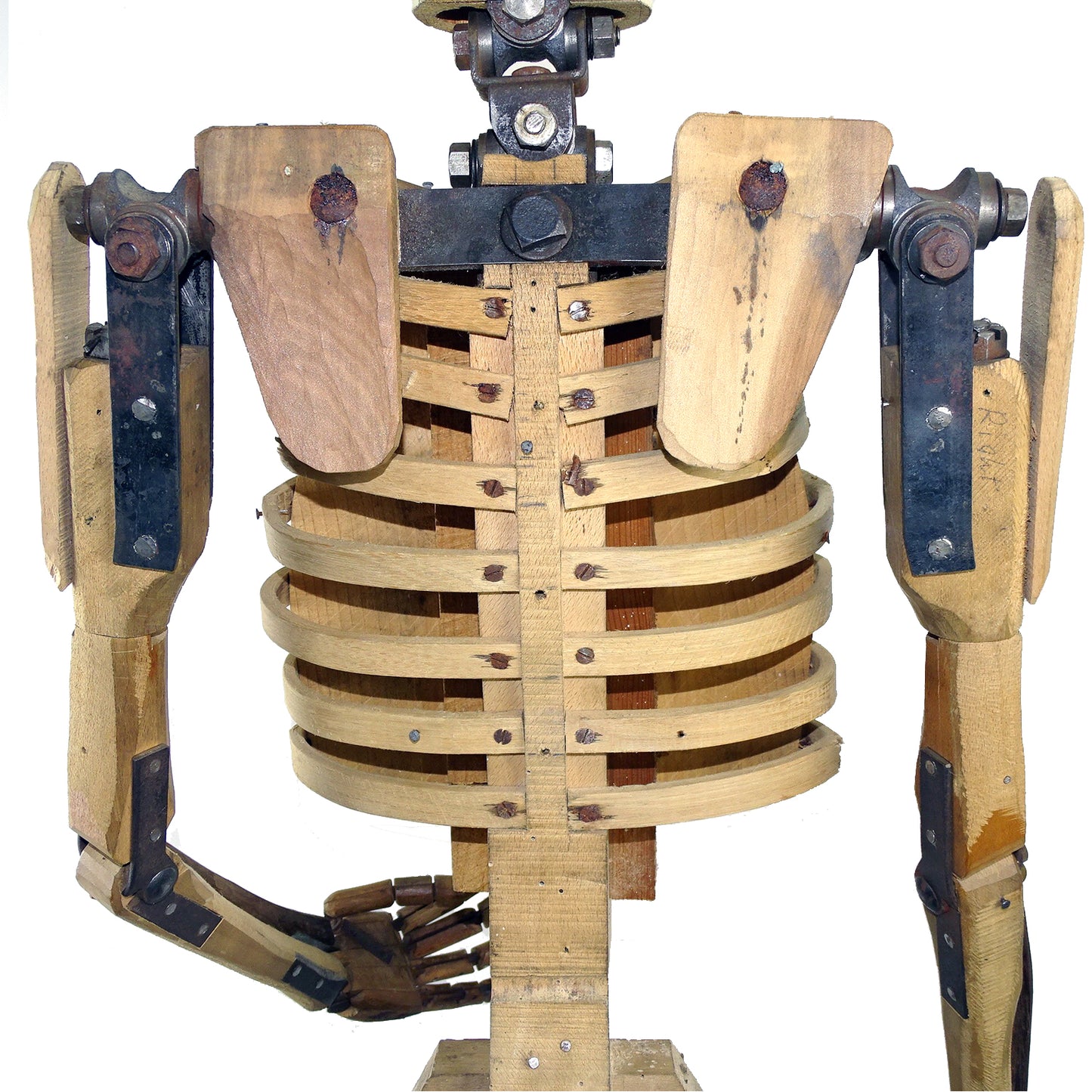 19th Century Artist Lay Figure Skeleton