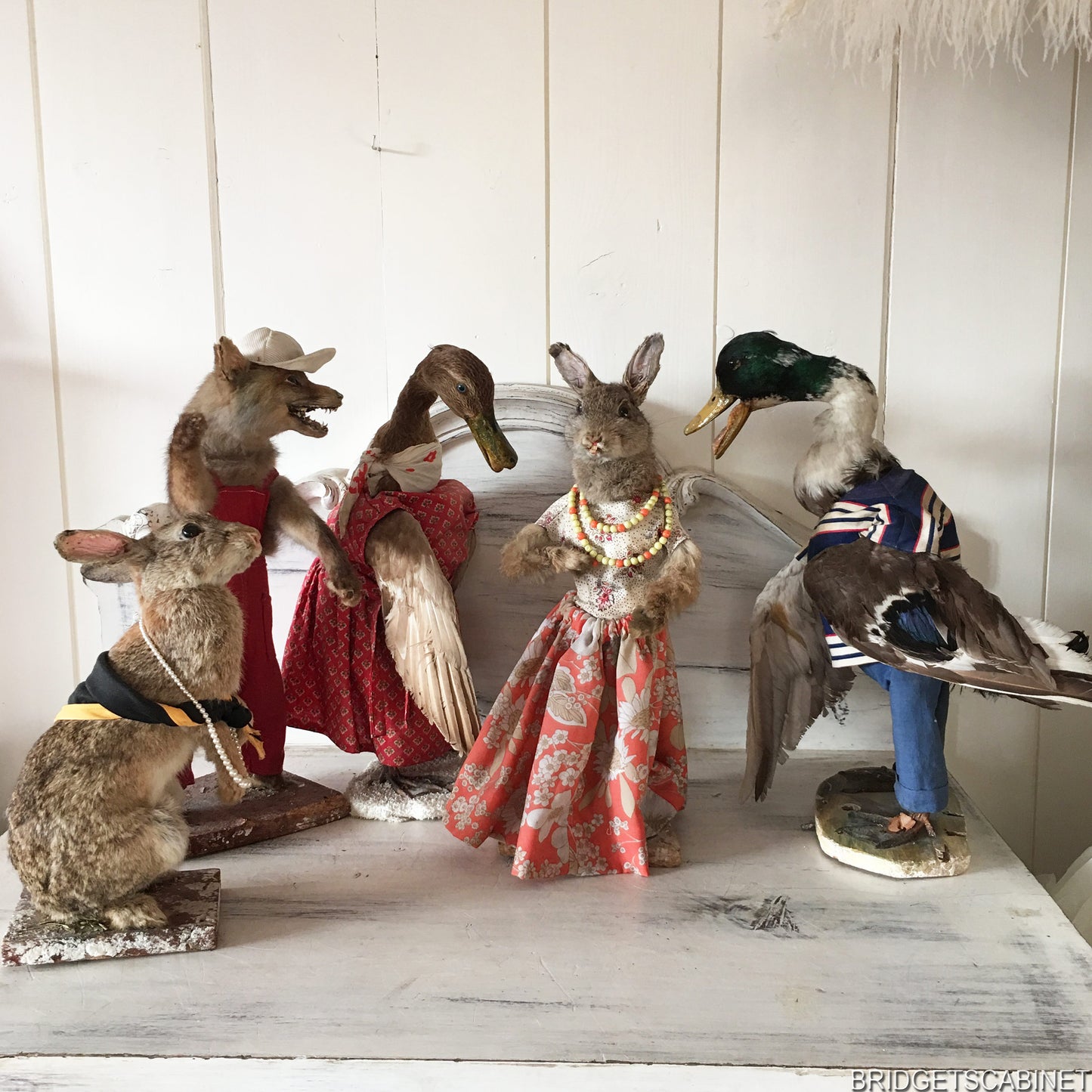 Scene of 5 1930s Taxidermy Animals