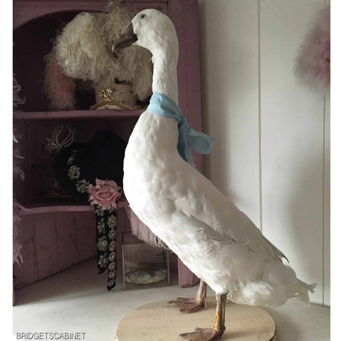Vintage Taxidermy Goose