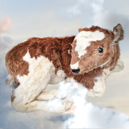 Antique Taxidermy Calf