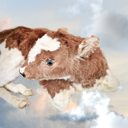Antique Taxidermy Calf