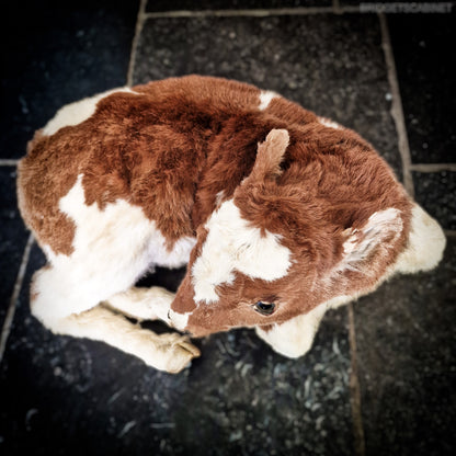 Antique Taxidermy Calf