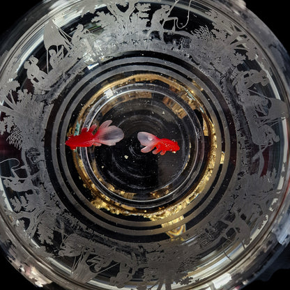 Rare Antique Baccarat Crystal Aquarium
