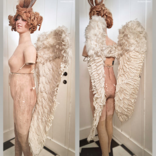 Rare Antique Angel Wings Feathered Design (Early 1900s)