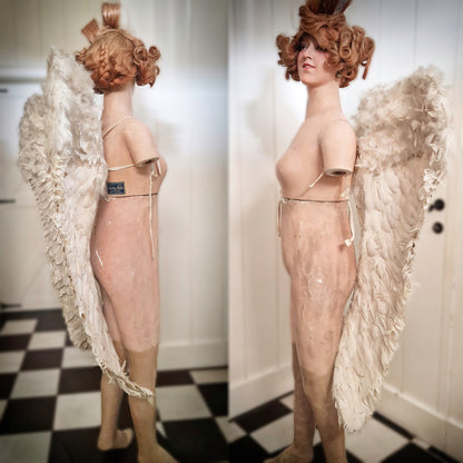 Rare Antique Angel Wings Feathered Design (Early 1900s)