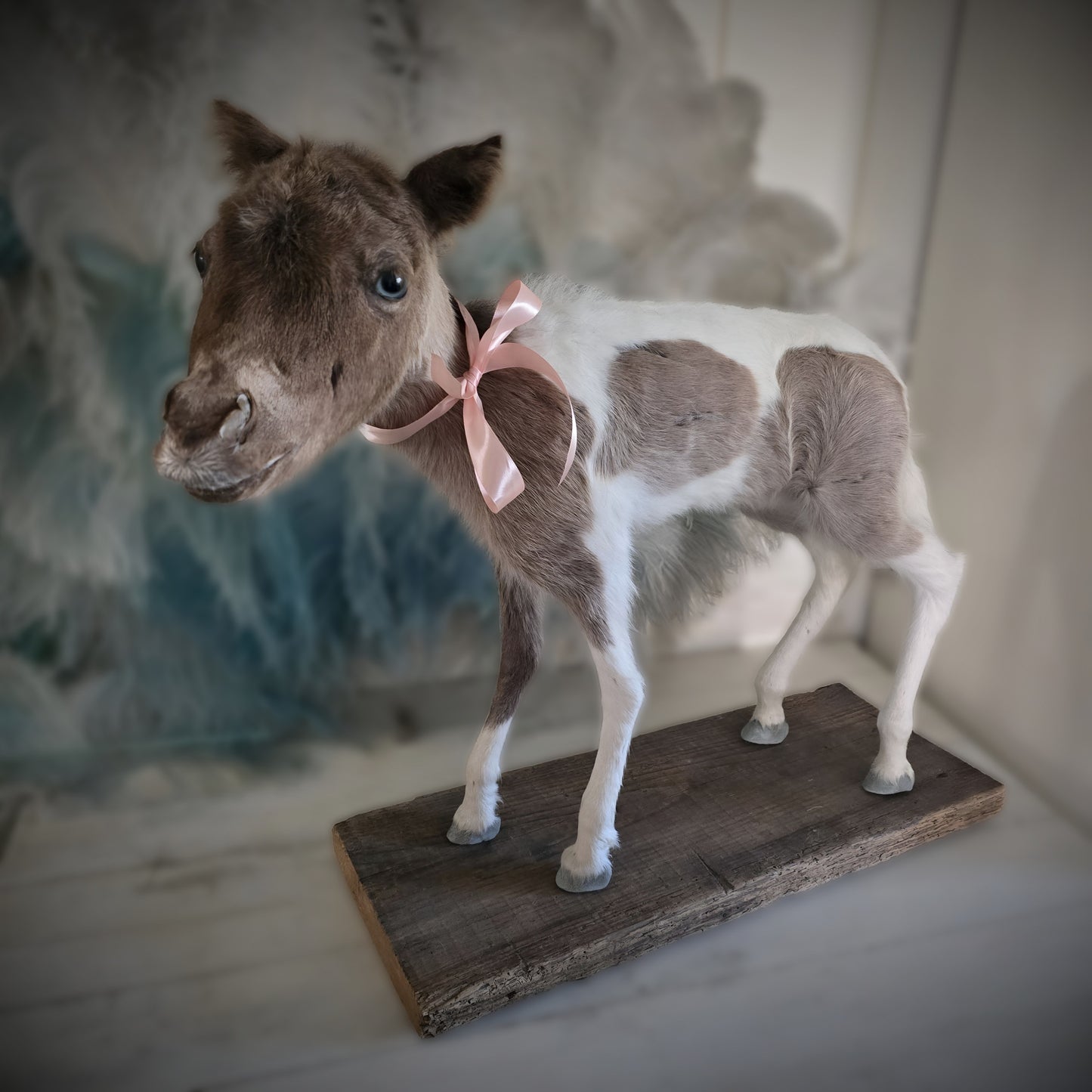 Antique Taxidermy Mounted Small Foal – A Unique Collector’s Piece
