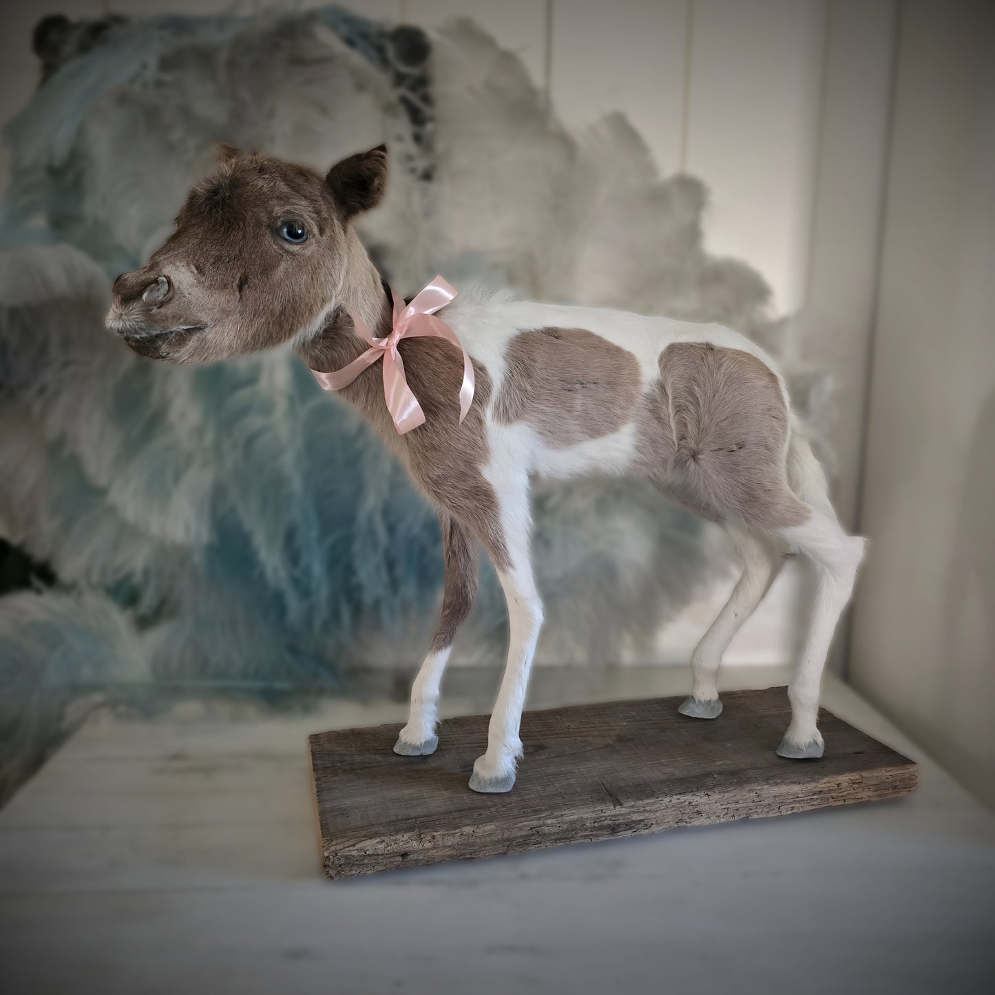Antique Taxidermy Mounted Small Foal – A Unique Collector’s Piece