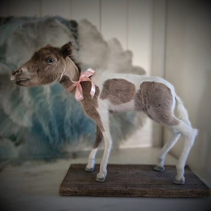 Antique Taxidermy Mounted Small Foal – A Unique Collector’s Piece