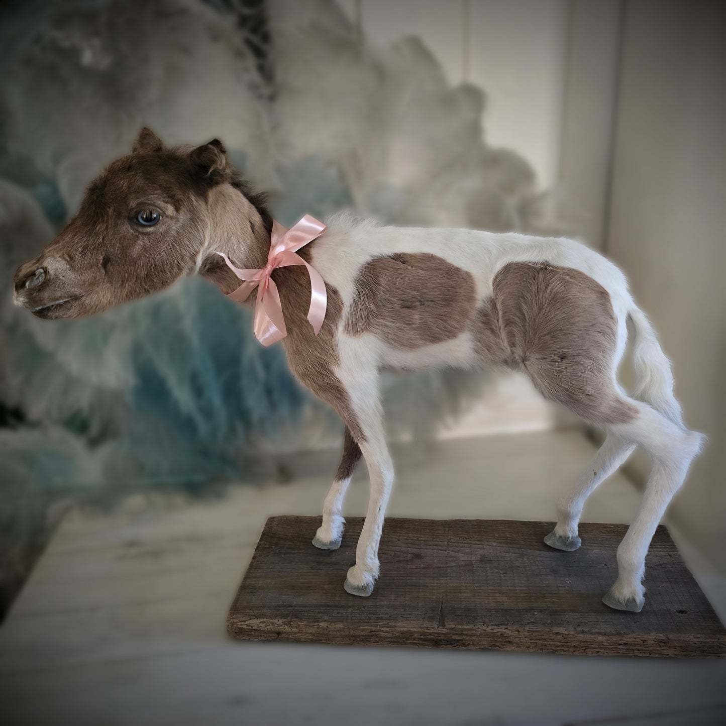 Antique Taxidermy Mounted Small Foal – A Unique Collector’s Piece