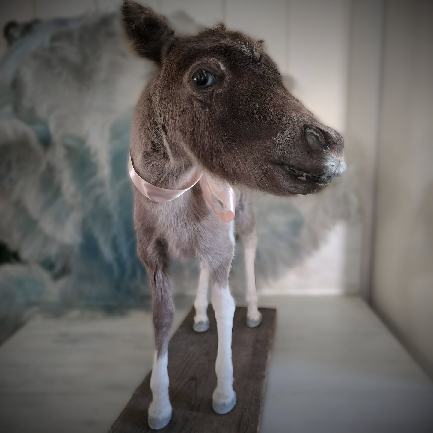 Antique Taxidermy Mounted Small Foal – A Unique Collector’s Piece