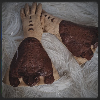 Rare Taxidermy Gloves Toad